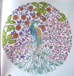 101 Secret Garden Coloring Book Sample Best HD