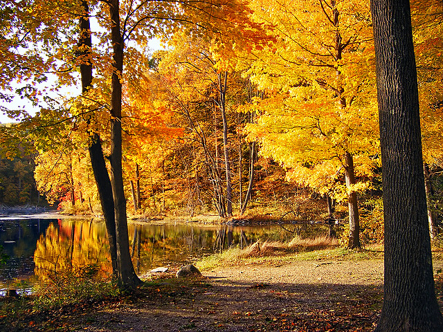 Fall+Scenery.+Photo+by+Nicholas+Tonelli.