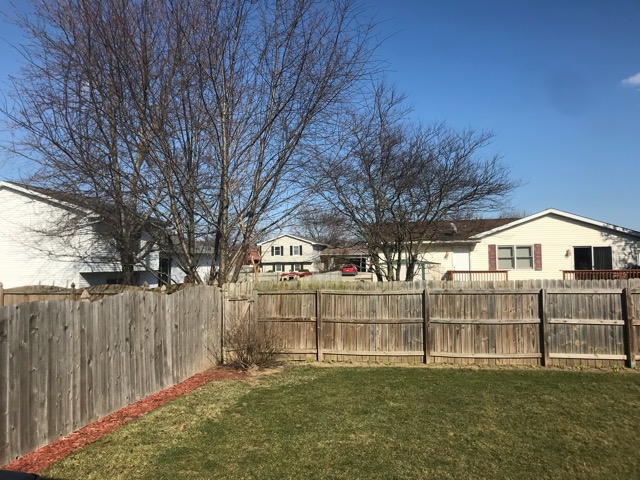 A+Bloomington-Normal+backyard+featuring+bare+trees+and+semi-dead+grass.+No+hint+of+spring+is+to+be+found+yet.+%0D%0A